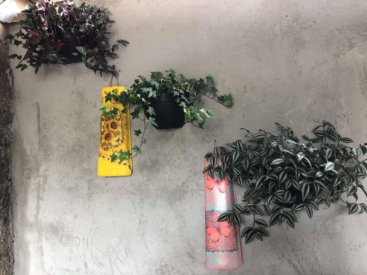 Villa Casa Anexa Com Lareira à Campos do Jordão Extérieur photo