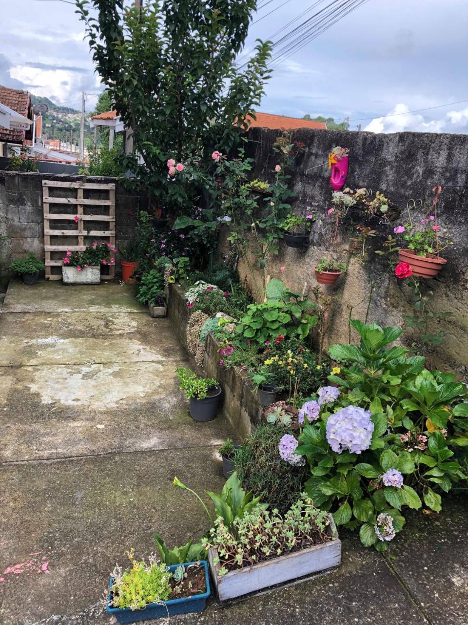 Villa Casa Anexa Com Lareira à Campos do Jordão Extérieur photo